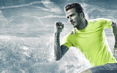 绿茵体育-利物浦球迷高唱阿利松之歌