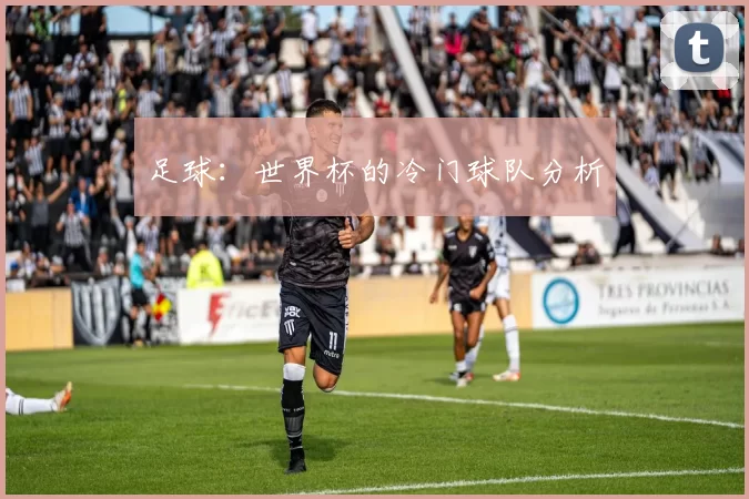 足球：世界杯的冷门球队分析