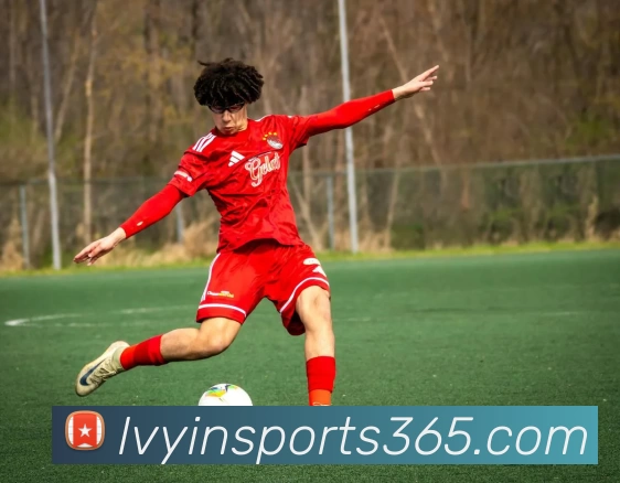 绿茵体育直播发展历程